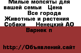 Милые мопсяты для вашей семьи › Цена ­ 20 000 - Все города Животные и растения » Собаки   . Ненецкий АО,Варнек п.